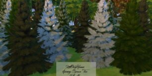 Sims 4 Custom Content — OBJECT: Norway Spruce Tree Pack of 5 DOWNLOAD ...