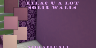 solidwalls-1